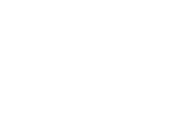 Menegotti